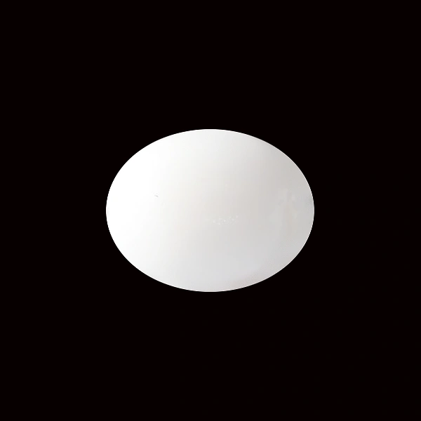 White Coral - 5.84 carats